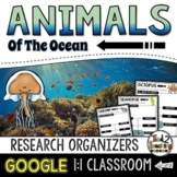 Ocean Animals Report: Animal Research and Informational Wr