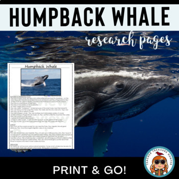 Preview of Ocean Animals Report HUMPBACK WHALE informational article first grade second 3rd
