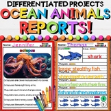 Ocean Animals Research Reports - Nonfiction Reading & Writ