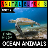 Ocean Animals Research Reports Sharks Crab Sting Ray Starfish Sea Turtle Writing