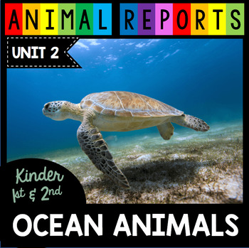 Preview of Ocean Animals Research Reports Sharks Crab Sting Ray Starfish Sea Turtle Writing