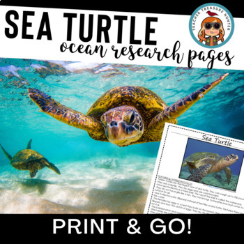 Preview of Ocean Animals Research Sea Turtle Information for Animal Reports