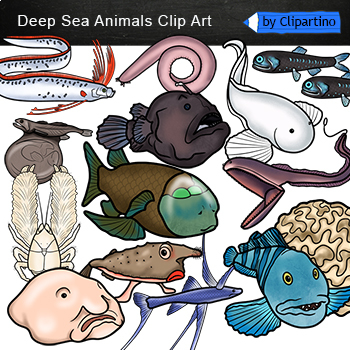 under the sea animals clip art