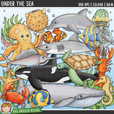 Ocean Animals  / Sea Creatures Clip Art: Under the Sea (Ka