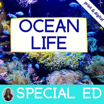 Preview of Ocean Animals & Sea Life Exploration Science Unit for Special Education