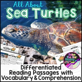 Preview of Ocean Animals Reading: Sea Turtles Differentiated Nonfiction Reading Passages