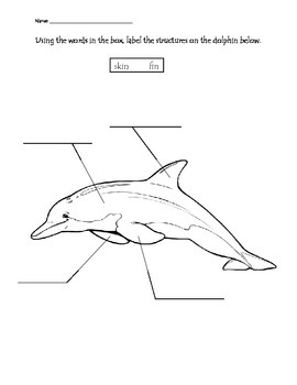 Ocean Animals Structure Labeling Worksheets by Maestra ...