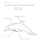 Ocean Animals Structure Labeling Worksheets