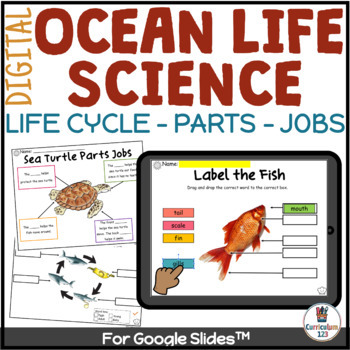Preview of Ocean Animals Summer Science Google Slides™