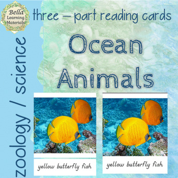 Preview of Ocean Animals  Three Part Reading Cards D'NEALIAN