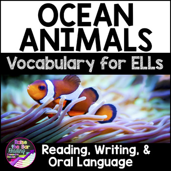 Preview of Ocean Animals Vocabulary Activities for ELLs - Newcomer ELL Vocabulary