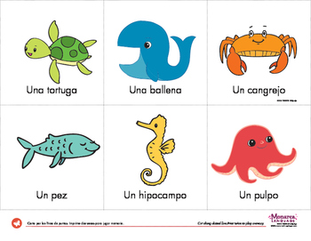 Ocean Animals Vocabulary Cards in Spanish by Monarca Language | TpT