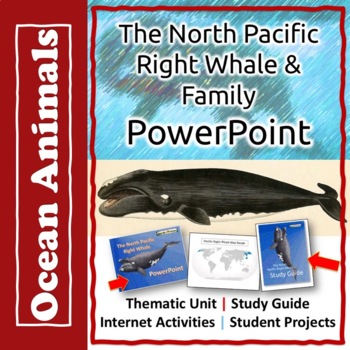 Preview of Ocean Animals - Whales Marine Biology PowerPoint and Study Guide