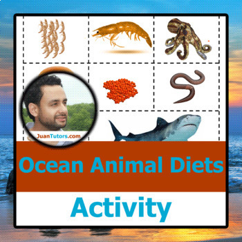 Preview of Ocean Animals What Do Sea Turtles Eat? What Do Whales Eat? What Do Dolphins Eat?