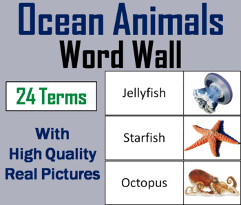 Preview of Ocean Animals Word Wall Cards