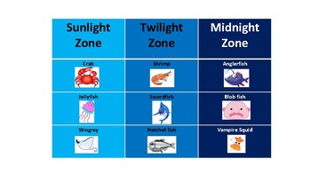 ocean zones diagram for kids