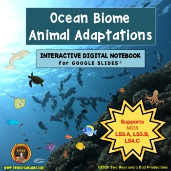 Preview of Ocean Biome Animal Adaptations Google Slides® Notebook