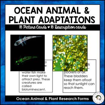 Preview of Ocean Biome Animal and Plant Adaptations | Research Forms Montessori