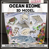 Ocean Biome Model - 3D Model - Biome Project - Distance Learning