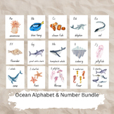 Ocean Bundle / Alphabet Flash Cards / Number Counting Card