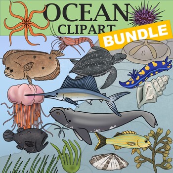 Preview of Ocean Clipart Bundle