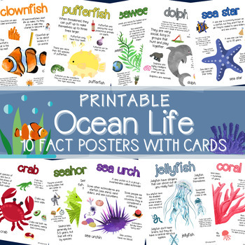 Ocean Animal Fact Posters by Yogalore | TPT