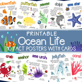 Ocean Animal Fact Posters