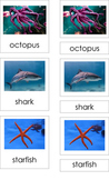 Ocean Creatures (3 Part Montessori Cards)