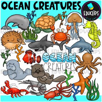 Preview of Ocean Creatures Clip Art Set {Educlips Clipart}