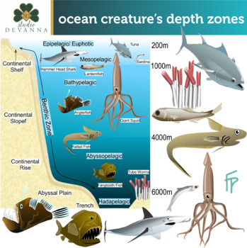 Preview of Ocean Creatures Depth Zones Clip Art