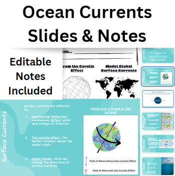 Preview of Ocean Currents Slides & Doodle Sheets & Slides