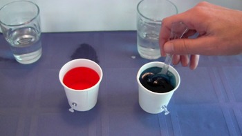 Preview of Ocean Currents Video Demonstration: Warm Water Rises While Cold Water Sinks