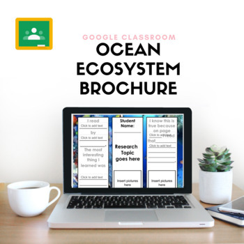 Preview of Ocean Ecosystem Brochure