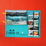 Ocean Faces Interactive Book and Sentence Formulation, Spe