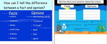 Preview of Ocean Fact & Opinion Lesson