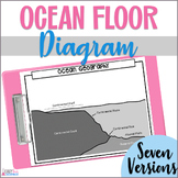 Ocean Floor Diagram for Marine Biology, Oceanography: Cut 