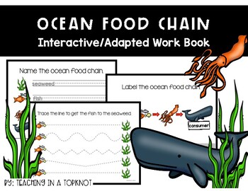 Preview of Ocean Food Chain Adapted Work Book