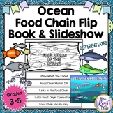 Ocean Food Chain Flip Book & Ocean Food Chain PowerPoint S