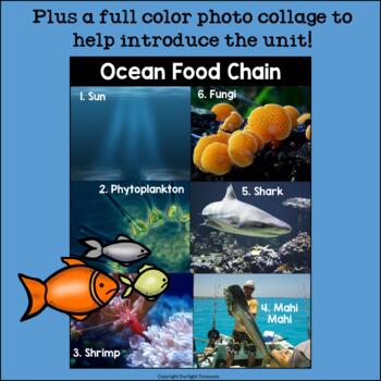 Ocean Food Chain Mini Book for Early Readers - Food Chains | TPT