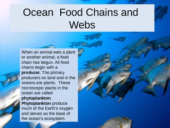 Presentation on ocean food chain