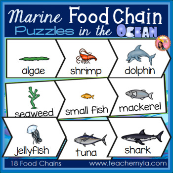 Ocean Food Chain Puzzles by Nyla's Crafty Teaching | TpT