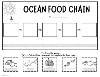 Ocean Food Chains - Activity and Word Wall Cards - Animal Food Chain