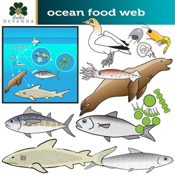 Preview of Ocean Food Web Clip Art