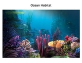 Ocean Habitat