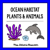 Ocean Habitat - Plants and Animals