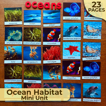 Preview of Ocean Habitat Unit Study, Ocean Biome Science Unit, Ocean Animals, Ocean Plants