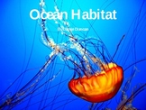 Ocean Habitat and Animal Slide Show
