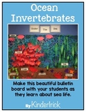 Ocean Invertebrates