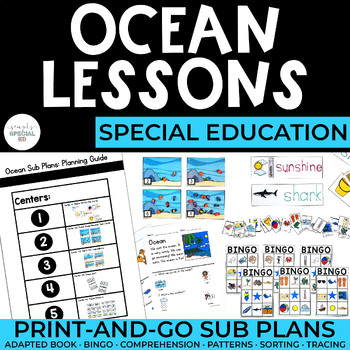 Preview of Ocean Lessons | Sub Plans | Summer | ESY | Special Education