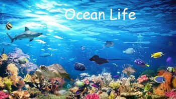 Preview of Ocean Life